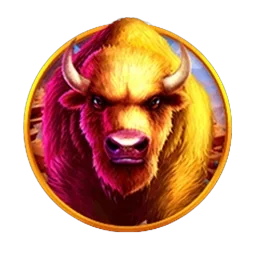 Buffalo
King